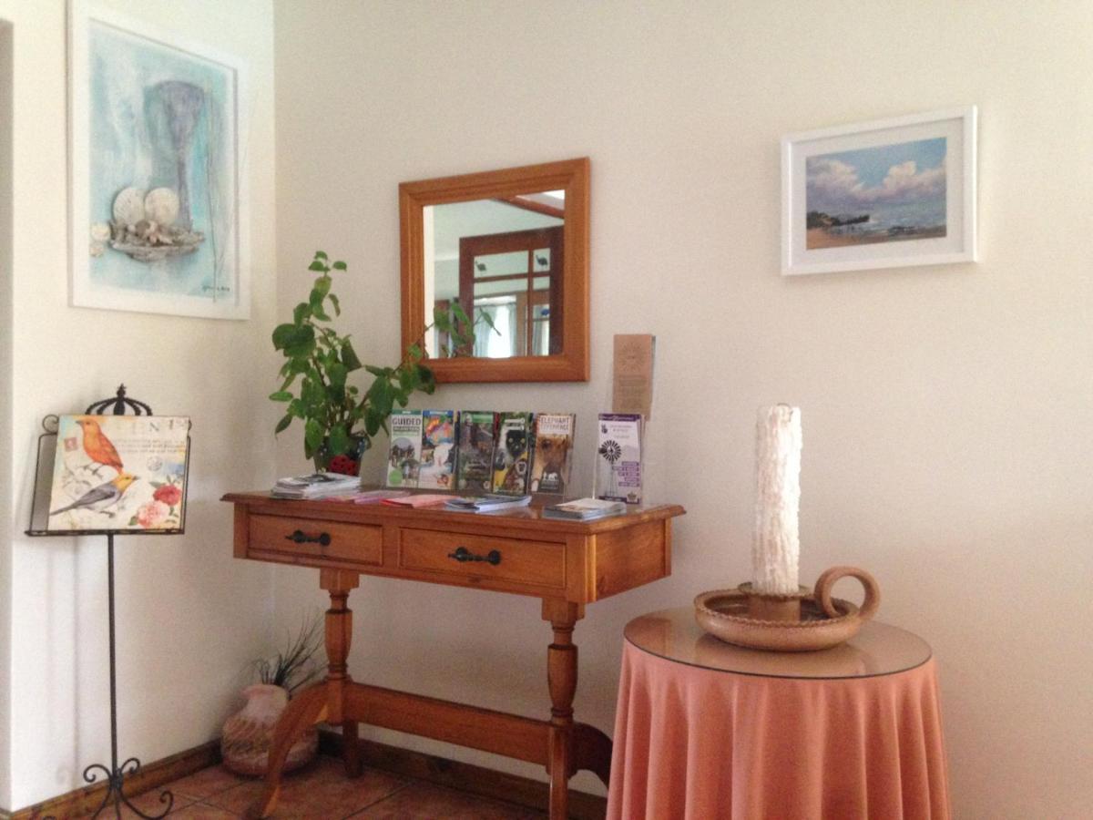 Blue Fern Of Knysna Bed and Breakfast Buitenkant foto